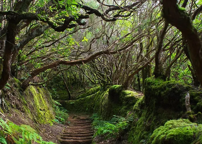 Cristianos Center Szálloda Los Cristianos