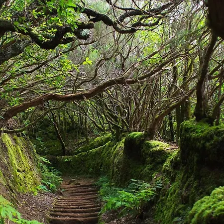 Cristianos Center Hotel Los Cristianos (Tenerife)